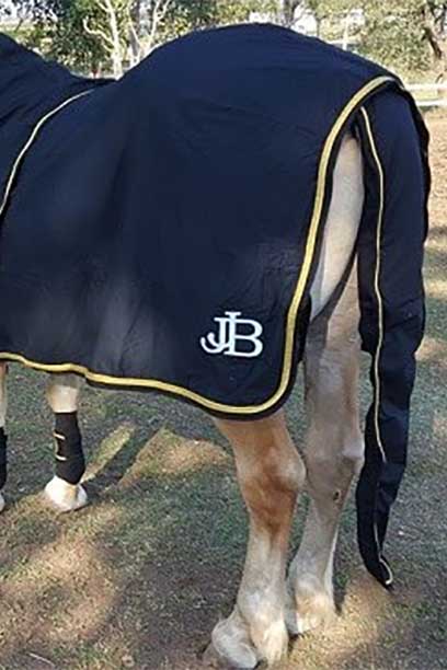 horse show set black gold back left jojubi saddlery
