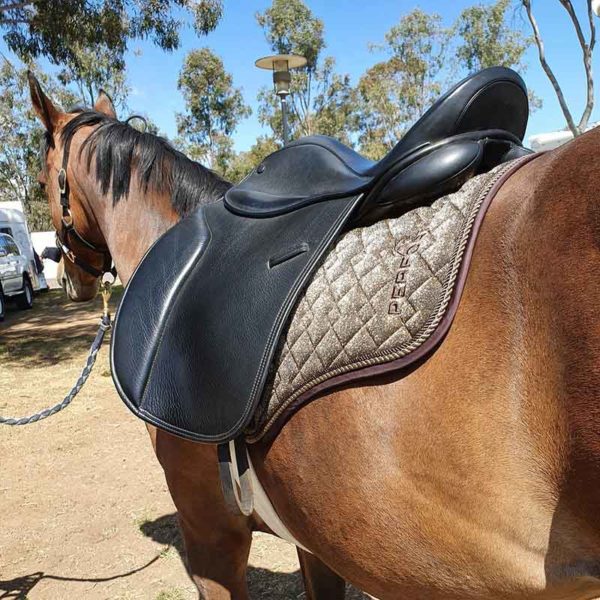 saddle pad liquid glitter on horse bronze jojubi saddlery 800