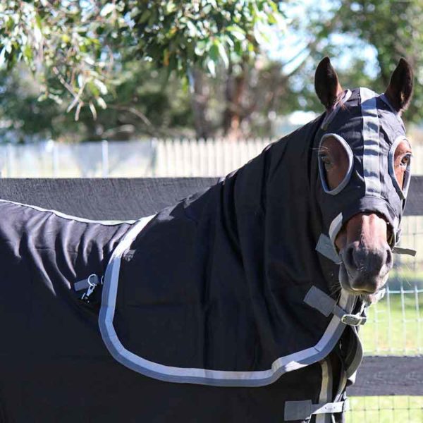 horse show set black grey front right side close up jojubi saddlery 800