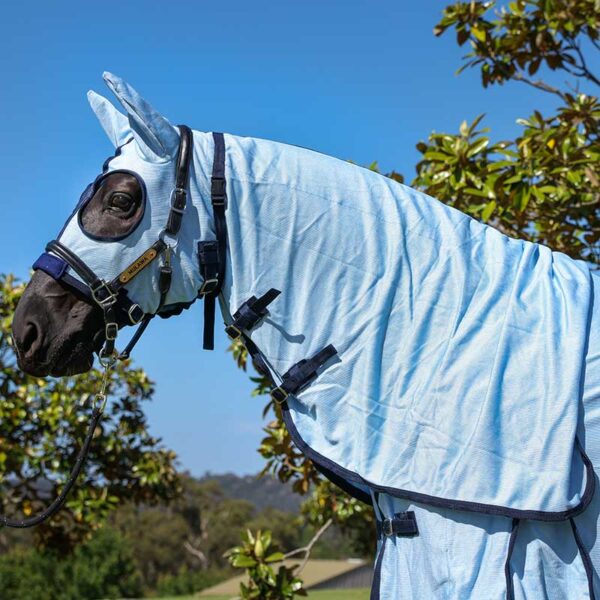 mesh hooded horse rug light blue close up left jojubi saddlery 800