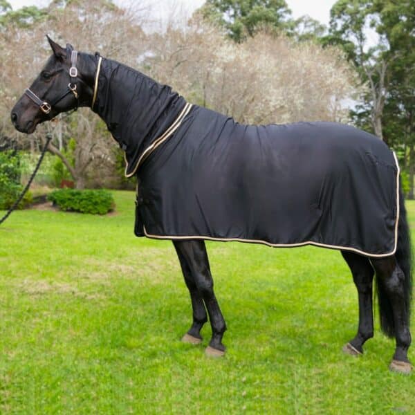 Black Rose Gold Combo Horse Rug