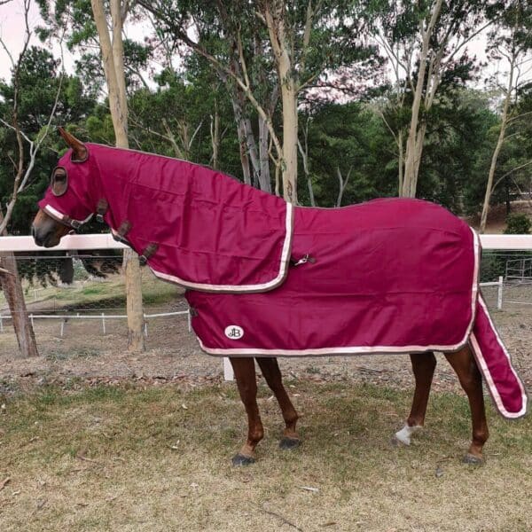 Raspberry Rush Show Set